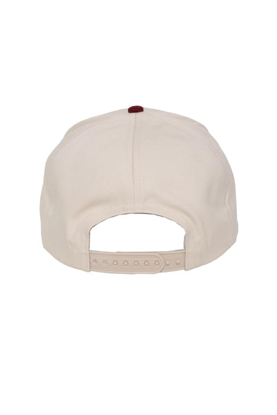Team EBC Hat