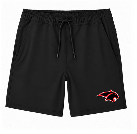 Brink logo shorts