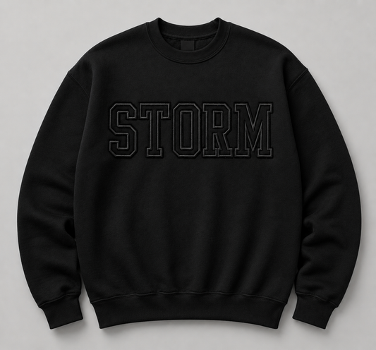 Embroidered outline Sweatshirt