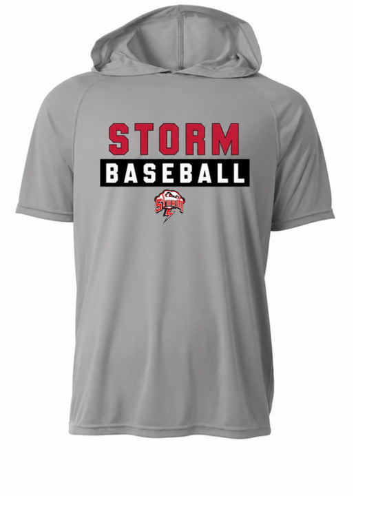 Short sleeve hooded dri fit