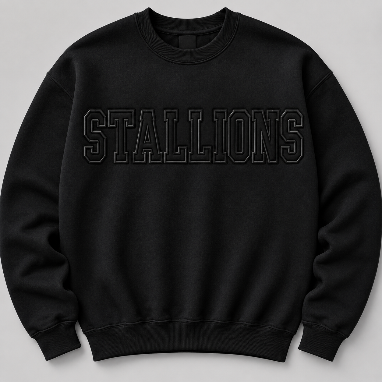 Embroidered outline Sweatshirt